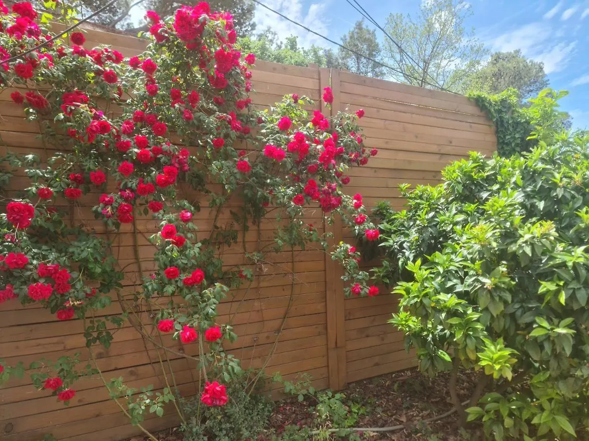 Chalet Nature Oasis Near Barcelona With Swimming Pool Parties Not Allowed Sant Cugat del Vallès